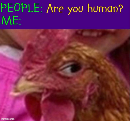 Is my Chicken Suit Disguise that bad? | image tagged in vince vance,chickens,angry chicken,memes,stupid questions,funny animals | made w/ Imgflip meme maker