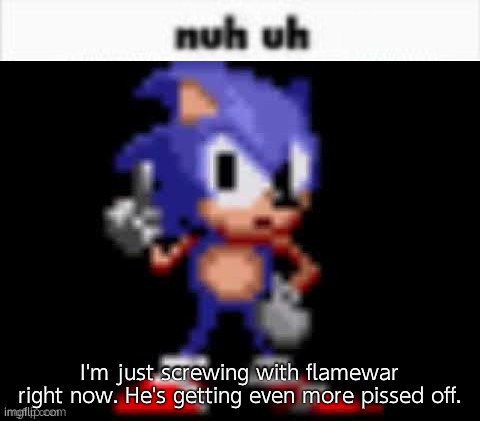 CD Sonic Nuh Uh | I'm just screwing with flamewar right now. He's getting even more pissed off. | image tagged in cd sonic nuh uh | made w/ Imgflip meme maker
