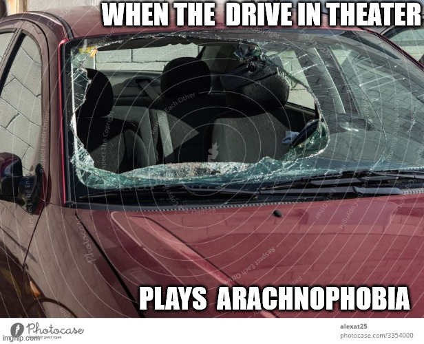 WHEN THE  DRIVE IN THEATER PLAYS  ARACHNOPHOBIA | made w/ Imgflip meme maker