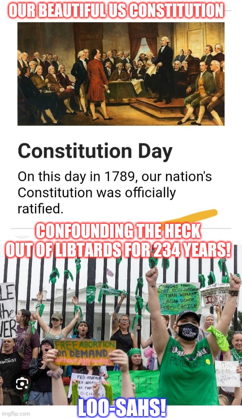 USA: Love It Or Leave It | OUR BEAUTIFUL US CONSTITUTION; CONFOUNDING THE HECK OUT OF LIBTARDS FOR 234 YEARS! LOO-SAHS! | image tagged in the constitution,love wins,libtards,fired,vote,president trump | made w/ Imgflip meme maker
