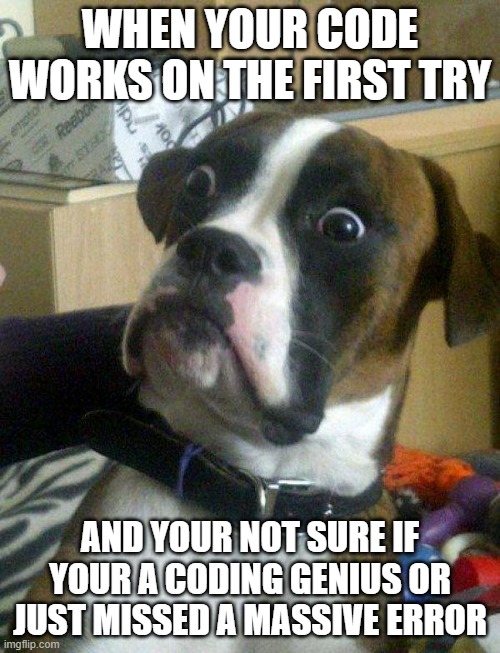 Blankie the Shocked Dog | WHEN YOUR CODE WORKS ON THE FIRST TRY; AND YOUR NOT SURE IF YOUR A CODING GENIUS OR JUST MISSED A MASSIVE ERROR | image tagged in blankie the shocked dog | made w/ Imgflip meme maker