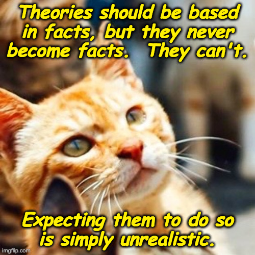 Deep Thought Cat | Theories should be based
in facts, but they never
become facts.  They can't. Expecting them to do so
is simply unrealistic. | image tagged in deep thought cat | made w/ Imgflip meme maker
