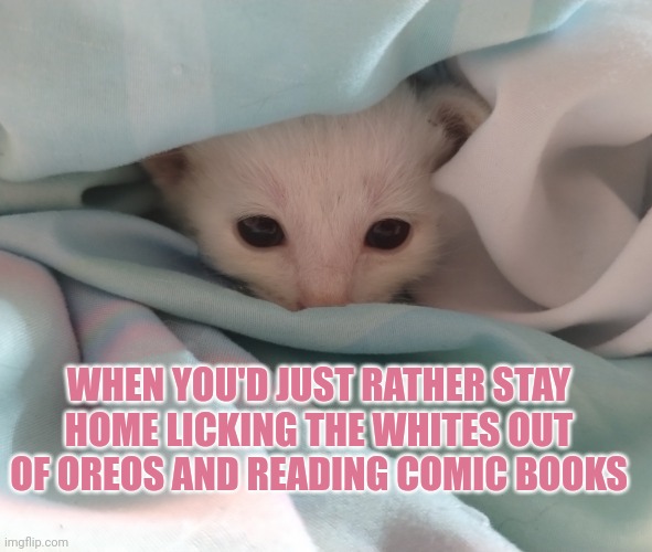 Days like this | WHEN YOU'D JUST RATHER STAY HOME LICKING THE WHITES OUT OF OREOS AND READING COMIC BOOKS | image tagged in funny memes | made w/ Imgflip meme maker