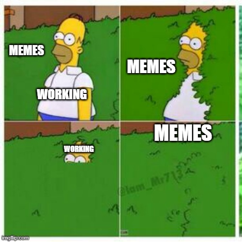 Homer hides | MEMES; MEMES; WORKING; MEMES; WORKING | image tagged in homer hides | made w/ Imgflip meme maker