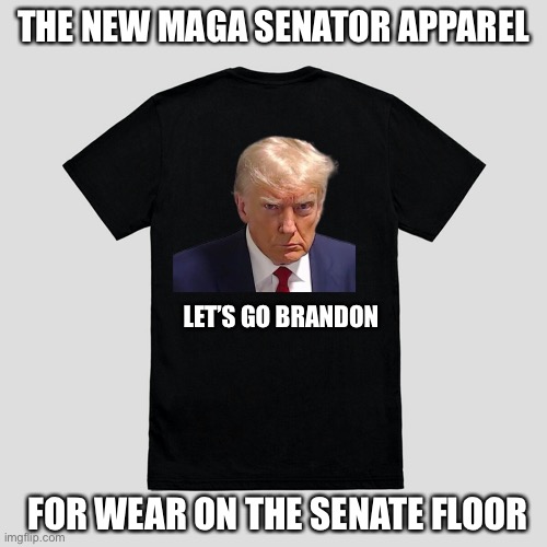Liberals never think things all the way through. Thanks, Chucky! | THE NEW MAGA SENATOR APPAREL; LET’S GO BRANDON; FOR WEAR ON THE SENATE FLOOR | image tagged in senate,dress code,t shirt,maga,trump mugshot,lets go brandon | made w/ Imgflip meme maker