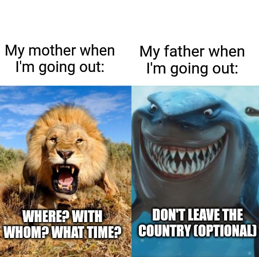 Going out | My father when I'm going out:; My mother when I'm going out:; DON'T LEAVE THE COUNTRY (OPTIONAL); WHERE? WITH WHOM? WHAT TIME? | image tagged in lion,finding nemo sharks | made w/ Imgflip meme maker
