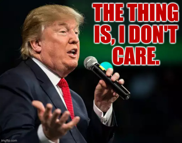 THE THING
IS, I DON'T
CARE. | made w/ Imgflip meme maker