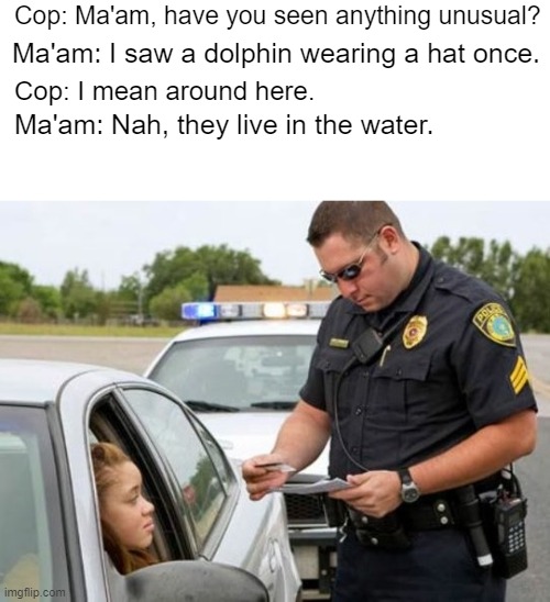 TRAFFIC COP | Cop: Ma'am, have you seen anything unusual? Ma'am: I saw a dolphin wearing a hat once. Cop: I mean around here. Ma'am: Nah, they live in the water. | image tagged in traffic cop | made w/ Imgflip meme maker