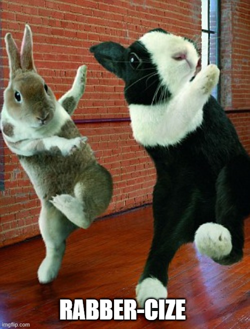 Rabbit Aerobics | RABBER-CIZE | image tagged in funny bunny | made w/ Imgflip meme maker