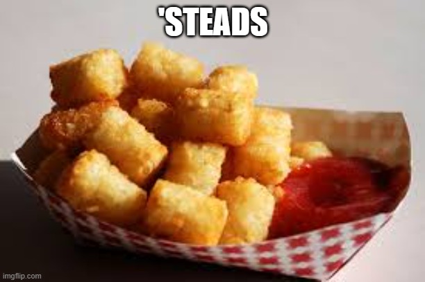 Tater tots | 'STEADS | image tagged in tater tots | made w/ Imgflip meme maker