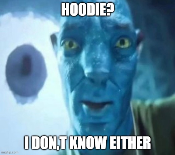 Avatar guy | HOODIE? I DON,T KNOW EITHER | image tagged in avatar guy | made w/ Imgflip meme maker