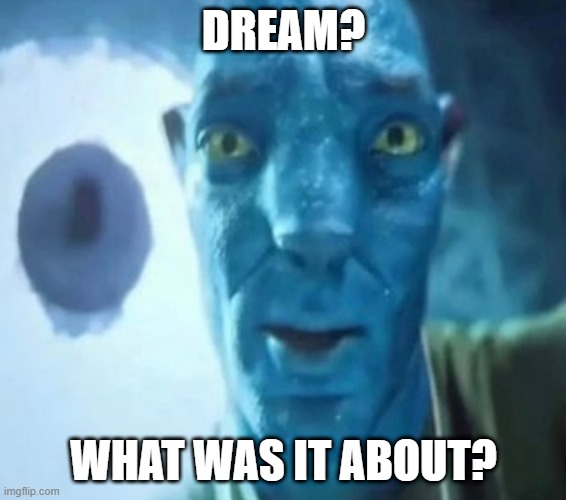 Avatar guy | DREAM? WHAT WAS IT ABOUT? | image tagged in avatar guy | made w/ Imgflip meme maker
