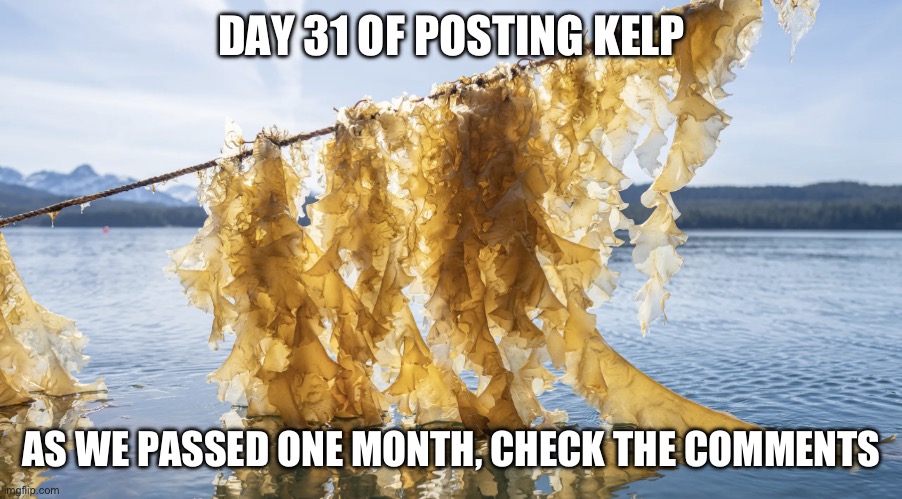 Votes | DAY 31 OF POSTING KELP; AS WE PASSED ONE MONTH, CHECK THE COMMENTS | image tagged in kelp | made w/ Imgflip meme maker