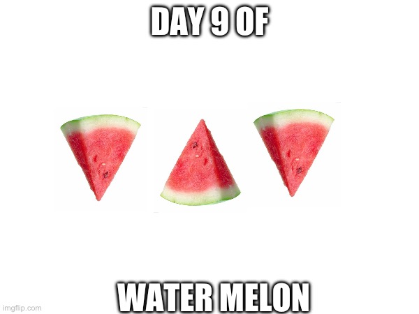 :D | DAY 9 OF; WATER MELON | image tagged in watermelons | made w/ Imgflip meme maker