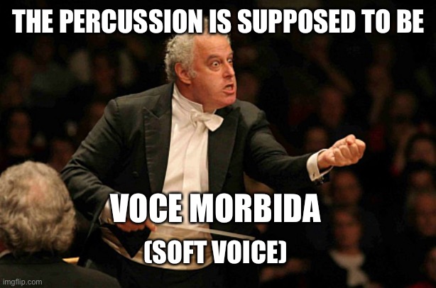 Angry Conductor | THE PERCUSSION IS SUPPOSED TO BE VOCE MORBIDA (SOFT VOICE) | image tagged in angry conductor | made w/ Imgflip meme maker