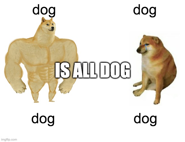 Buff Doge vs. Cheems Meme | dog; dog; IS ALL DOG; dog; dog | image tagged in memes,buff doge vs cheems | made w/ Imgflip meme maker