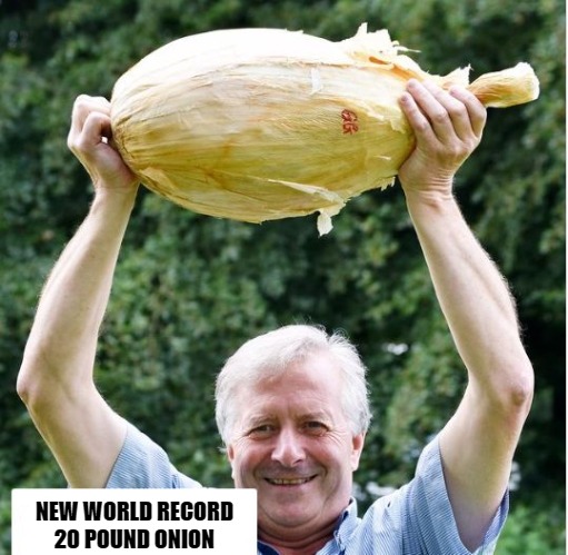 world record 20 pound onion | NEW WORLD RECORD
20 POUND ONION | image tagged in 20 pound onion,kewlew | made w/ Imgflip meme maker