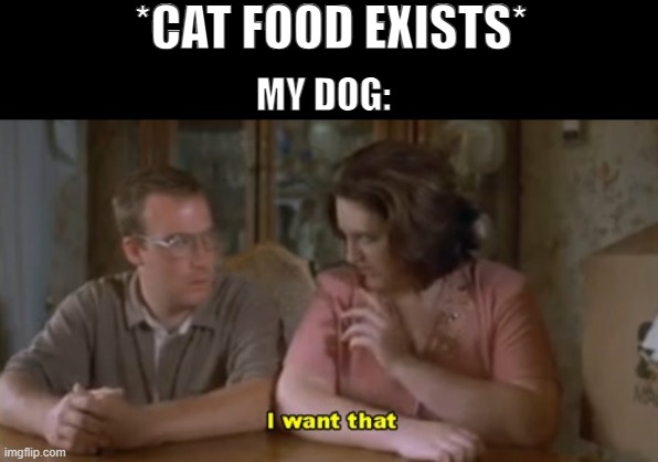 I Want That | *CAT FOOD EXISTS*; MY DOG: | image tagged in napoleon dynamite | made w/ Imgflip meme maker