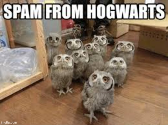 I'm still waiting for my owl | image tagged in spam mail,harry potter meme | made w/ Imgflip meme maker