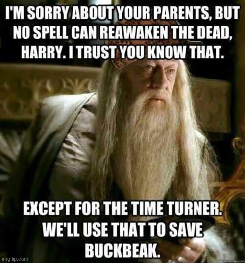 that logic is making me think 2+2=10, LIKE SAVE JAME AND LILY POTTER!!!!!!!! | image tagged in wait wha- | made w/ Imgflip meme maker