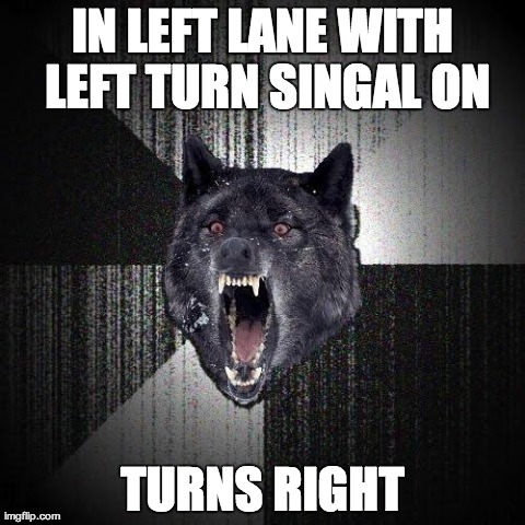 Insanity Wolf | IN LEFT LANE WITH LEFT TURN SINGAL ON TURNS RIGHT | image tagged in memes,insanity wolf | made w/ Imgflip meme maker