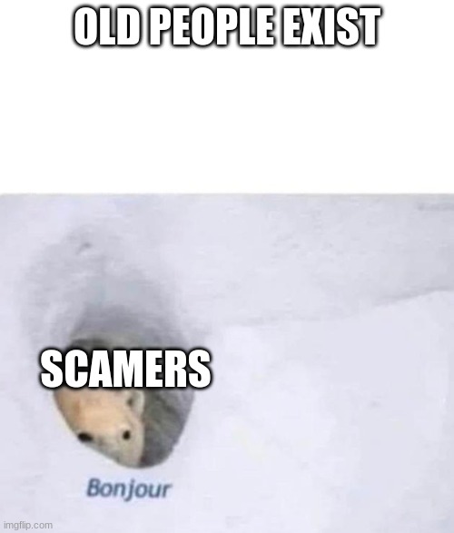 Bonjour | OLD PEOPLE EXIST; SCAMERS | image tagged in bonjour | made w/ Imgflip meme maker