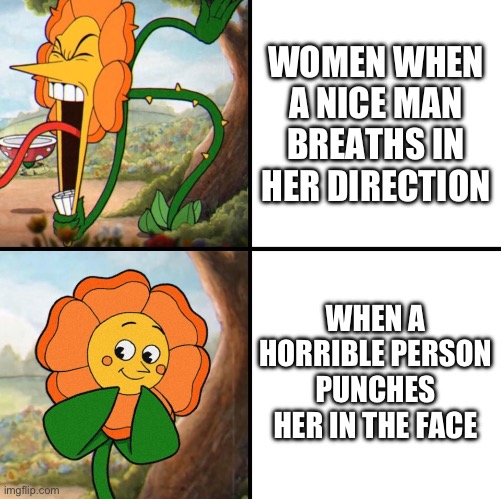 angry flower | WOMEN WHEN A NICE MAN BREATHS IN HER DIRECTION; WHEN A HORRIBLE PERSON PUNCHES HER IN THE FACE | image tagged in angry flower | made w/ Imgflip meme maker