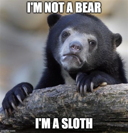 Confession Bear? | I'M NOT A BEAR; I'M A SLOTH | image tagged in memes,confession bear | made w/ Imgflip meme maker