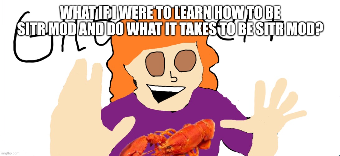 ..not do it NOW but maybe in a few months | WHAT IF I WERE TO LEARN HOW TO BE SITR MOD AND DO WHAT IT TAKES TO BE SITR MOD? | made w/ Imgflip meme maker