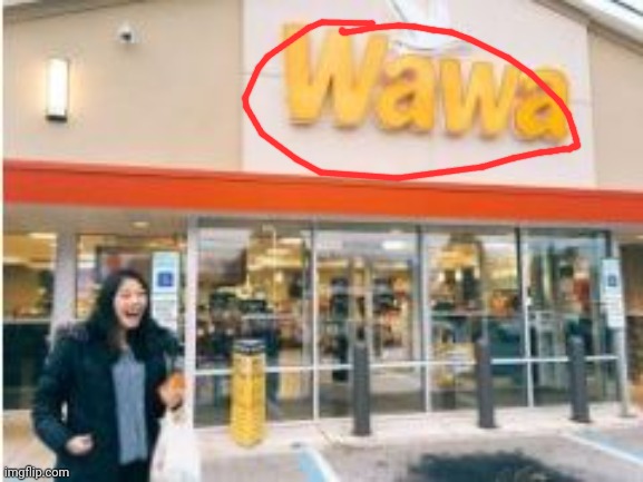 WaWa of Derm | image tagged in wawa of derm | made w/ Imgflip meme maker