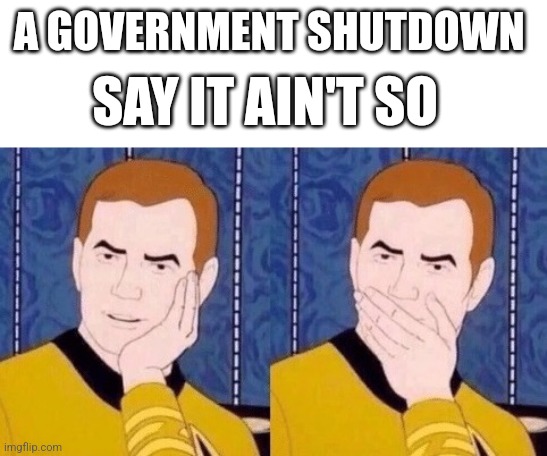 Sarcastic Kirk | A GOVERNMENT SHUTDOWN; SAY IT AIN'T SO | image tagged in sarcastic kirk,funny memes | made w/ Imgflip meme maker
