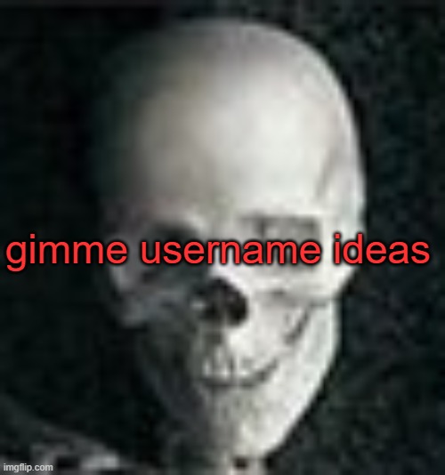 . | gimme username ideas | image tagged in skull | made w/ Imgflip meme maker