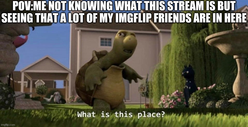 lol | POV:ME NOT KNOWING WHAT THIS STREAM IS BUT SEEING THAT A LOT OF MY IMGFLIP FRIENDS ARE IN HERE | image tagged in what is this place,lol | made w/ Imgflip meme maker