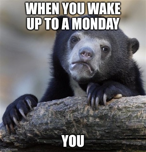 Confession Bear Meme | WHEN YOU WAKE UP TO A MONDAY; YOU | image tagged in memes,confession bear | made w/ Imgflip meme maker