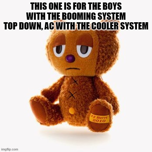 Pj plush | THIS ONE IS FOR THE BOYS WITH THE BOOMING SYSTEM
TOP DOWN, AC WITH THE COOLER SYSTEM | image tagged in pj plush | made w/ Imgflip meme maker
