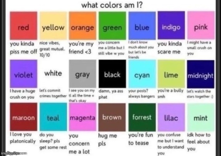 Idk how I seem online compared to real life | image tagged in what color am i,sans undertale is coming for your tailbone | made w/ Imgflip meme maker