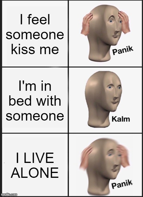OH NO | I feel someone kiss me; I'm in bed with someone; I LIVE ALONE | image tagged in memes,panik kalm panik | made w/ Imgflip meme maker