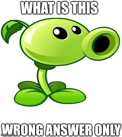 WHAT IS THIS; WRONG ANSWER ONLY | made w/ Imgflip meme maker
