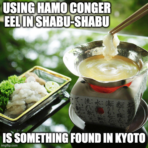 Hamo Shabu-shabu | USING HAMO CONGER EEL IN SHABU-SHABU; IS SOMETHING FOUND IN KYOTO | image tagged in food,memes | made w/ Imgflip meme maker