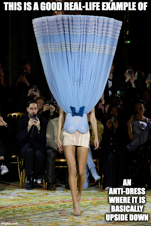 Runway Fashion Anti-Dress | THIS IS A GOOD REAL-LIFE EXAMPLE OF; AN ANTI-DRESS WHERE IT IS BASICALLY UPSIDE DOWN | image tagged in runway fashion,funny,memes | made w/ Imgflip meme maker