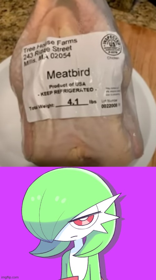 they didn't even try | image tagged in dissapointed gardevoir,you had one job,chicken | made w/ Imgflip meme maker