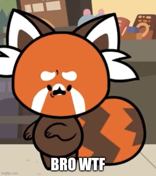 BRO WTF | image tagged in shocked sodwy | made w/ Imgflip meme maker