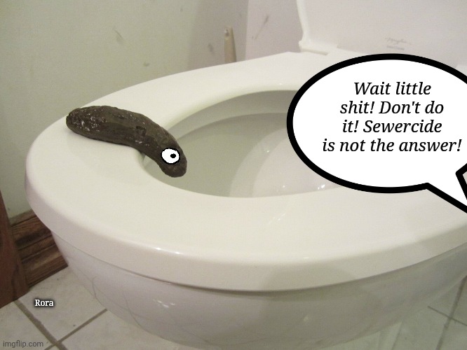 Wait little shit! Don't do it! Sewercide is not the answer! Rora | image tagged in toilet humor | made w/ Imgflip meme maker