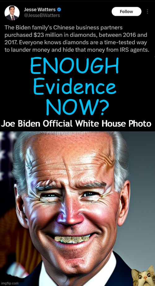 Diamonds Are Forever | ENOUGH 
Evidence 
NOW? Joe Biden Official White House Photo | image tagged in politics,joe biden,diamonds,political humor,evidence,enough is enough | made w/ Imgflip meme maker