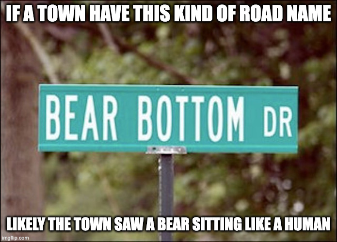 Bear Bottom Drive | IF A TOWN HAVE THIS KIND OF ROAD NAME; LIKELY THE TOWN SAW A BEAR SITTING LIKE A HUMAN | image tagged in street name,memes | made w/ Imgflip meme maker