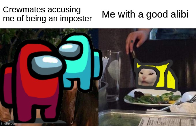Among us cat | Crewmates accusing me of being an imposter; Me with a good alibi | image tagged in memes,woman yelling at cat | made w/ Imgflip meme maker