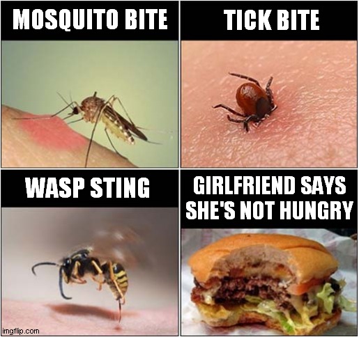 Painful Bites and Stings ! | TICK BITE; MOSQUITO BITE; WASP STING; GIRLFRIEND SAYS SHE'S NOT HUNGRY | image tagged in mosquito,tick,wasp,girlfriend,bite | made w/ Imgflip meme maker