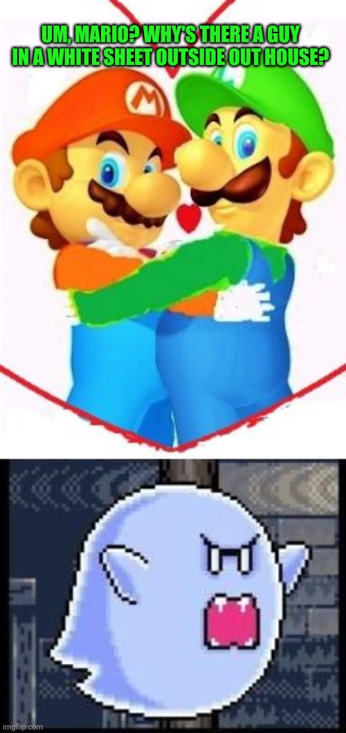 UM, MARIO? WHY'S THERE A GUY IN A WHITE SHEET OUTSIDE OUT HOUSE? | made w/ Imgflip meme maker