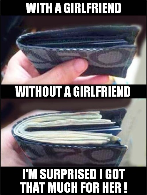 The State Of My Wallet | WITH A GIRLFRIEND; WITHOUT A GIRLFRIEND; I'M SURPRISED I GOT
THAT MUCH FOR HER ! | image tagged in wallet,cash,girlfriend,sold,dark humour | made w/ Imgflip meme maker