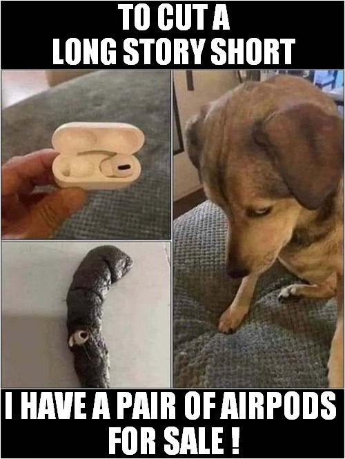Oh No ... Not Again ! | TO CUT A LONG STORY SHORT; I HAVE A PAIR OF AIRPODS
 FOR SALE ! | image tagged in airpods,eaten,dog,dark humour | made w/ Imgflip meme maker